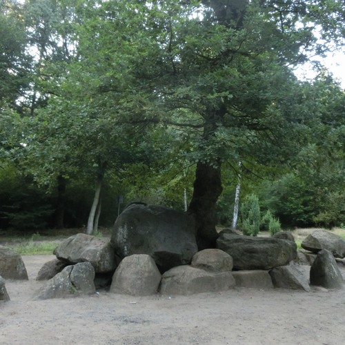 Die Düwelsteene bei Heiden (Foto: Altertumskommission/Schierhold).