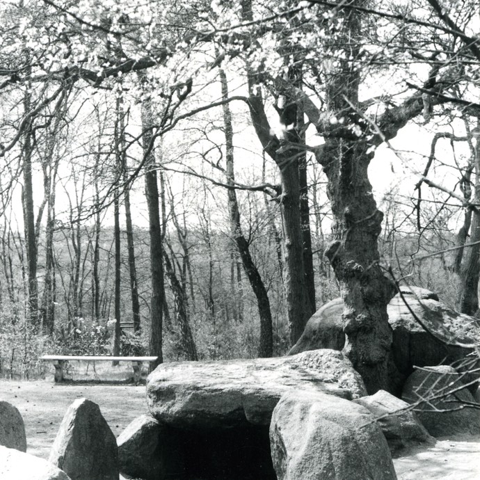 Fotografie der Düwelsteene, um 1950. (vergrößerte Bildansicht wird geöffnet)