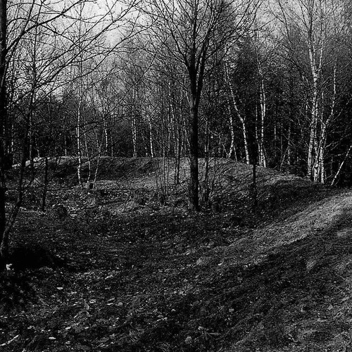 Ostseite des Kindelsberges von Süden (Hömberg 1998, Abb. 2).
