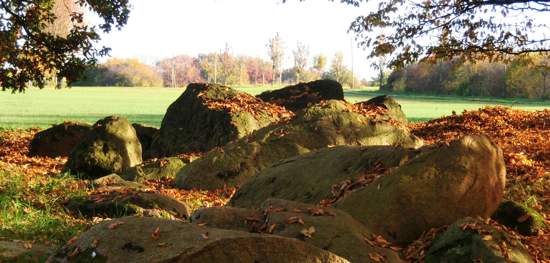 Das Großsteingrab Beckum-Dalmer II (Foto: Altertumskommission/Schierhold).