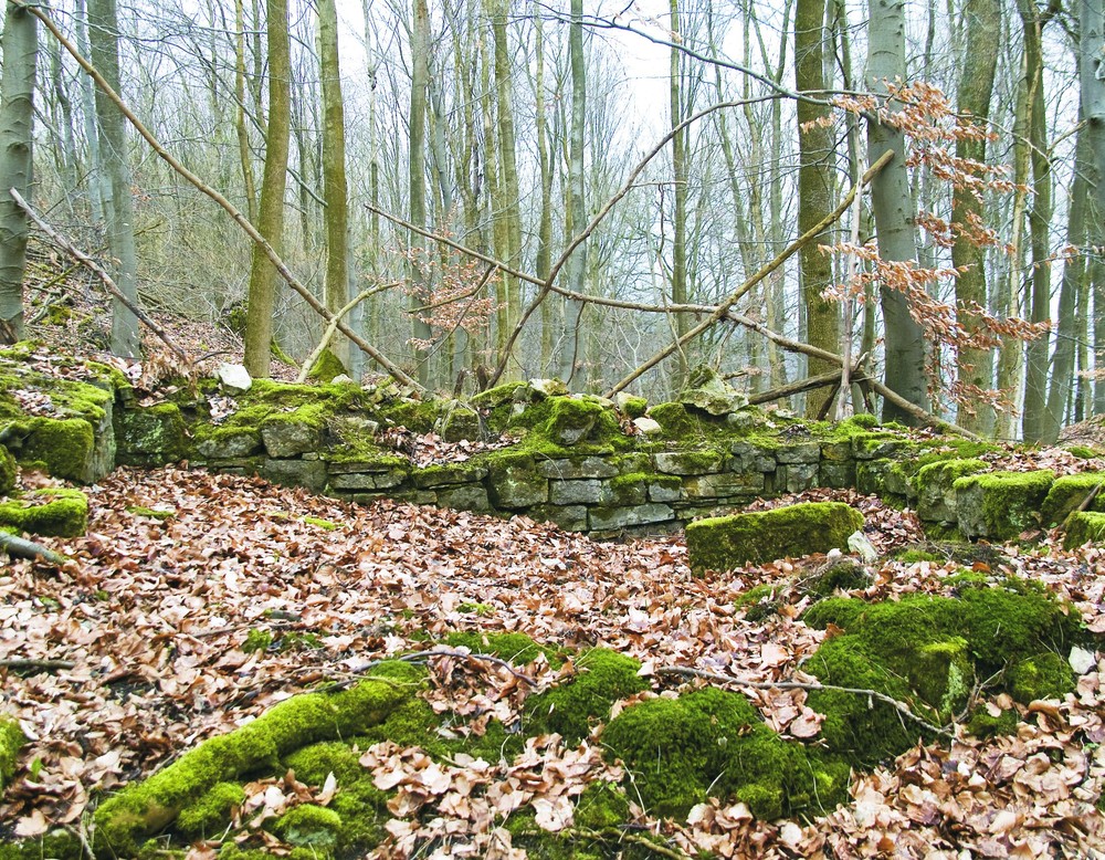 Mauerreste aus dem Inneren der Brunsburg (LWL-AfW/Brentführer).