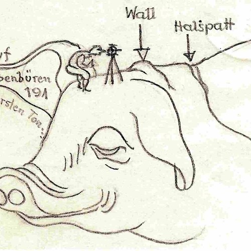 Postkarte von A. Klein vom 6.3.1938 zum Beginn der Vermessungsarbeiten (WMfA).