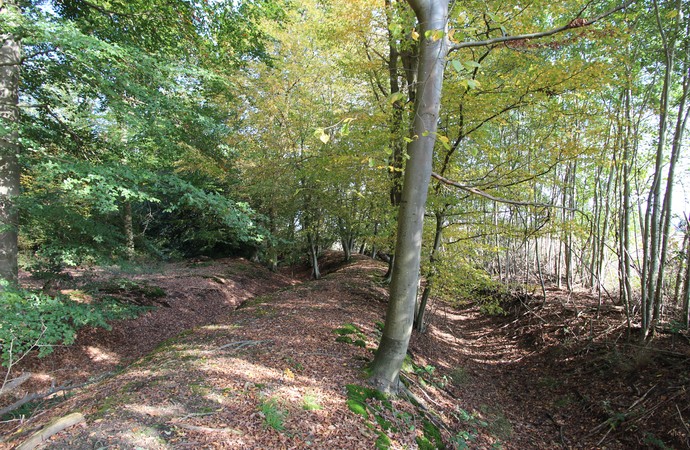 Die Landwehren in Nordwalde (Foto: Altertumskommission/Faasen).