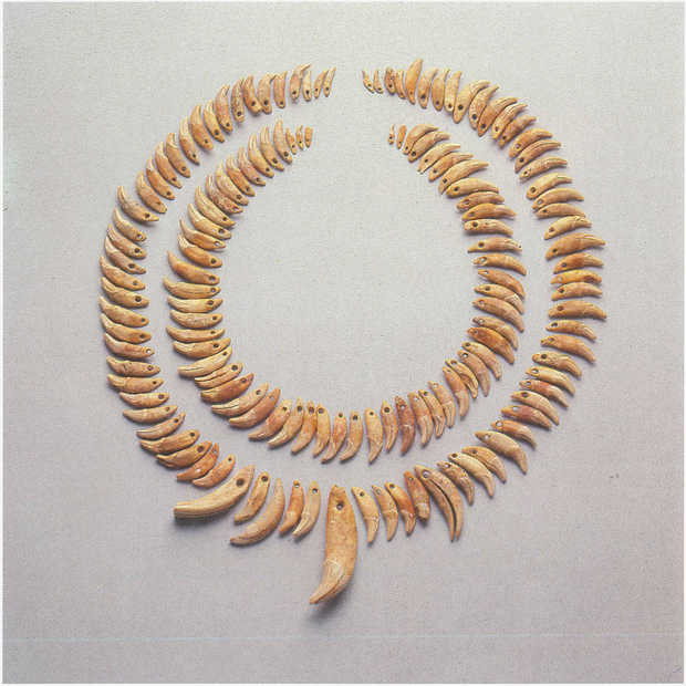 Durchlochte Tierzähne aus dem Galeriegrab Wewelsburg I. Anordnung entspricht nicht Befundsituation (Günther/Viets 1992, 119). Durchlochte Tierzähne aus dem Galeriegrab Wewelsburg I. Anordnung entspricht nicht Befundsituation (Günther/Viets 1992, 119).