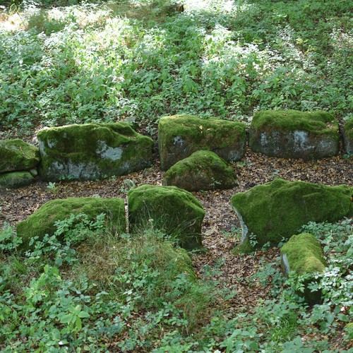 Das Megalithgrab von Warburg-Rimbeck 2019 (Foto: Altertumskommission/Klinke).