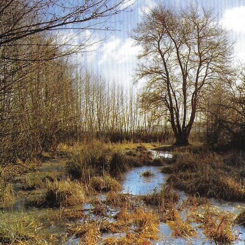 Die Hauptgräfte der Barenborg im Südwesten (Capelle 2005, Abb. 2).