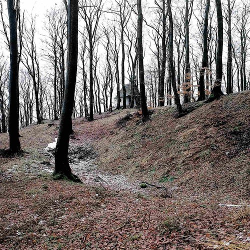 Blick auf das Kernwerk von Borbergs Kirchhof von Süden (Hömberg 1998², Titelbild).