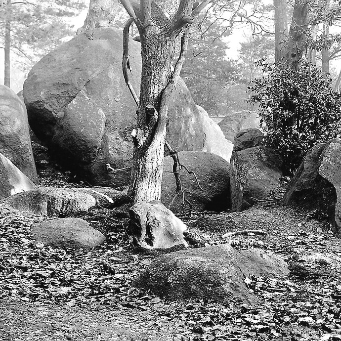 Fotografie der Düwelsteene, um 1920. (vergrößerte Bildansicht wird geöffnet)
