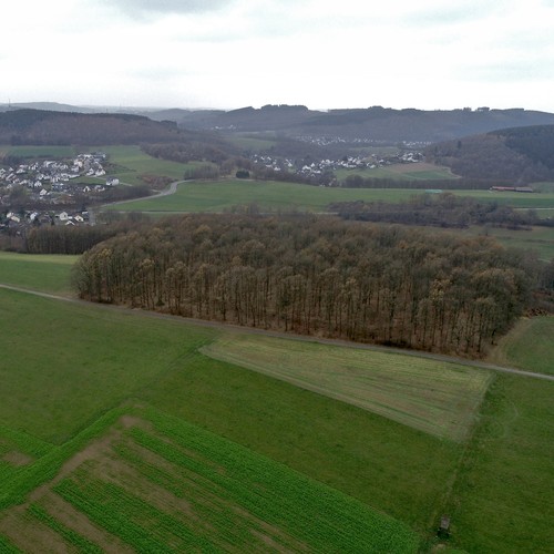 Coverbild 46 der Frühen Burgen in Westfalen (LWL-AfW/Müller-Delvart).