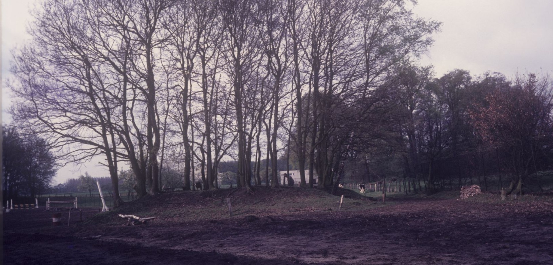 Das überhügelte Großsteingrab im Vorfeld der Grabungen 1983 (Foto: Altertumskommission/Eckert).