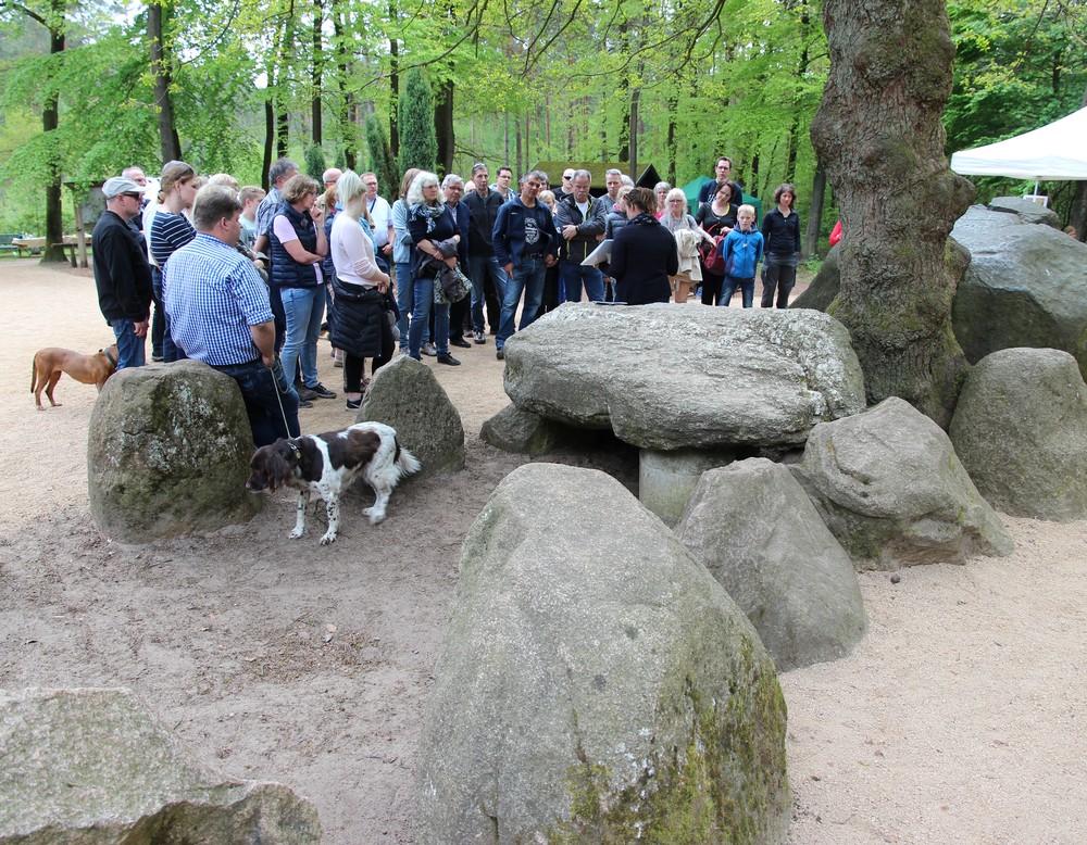 Expertenvortrag zum Großsteingrab (Foto: Altertumskommission/Klinke).