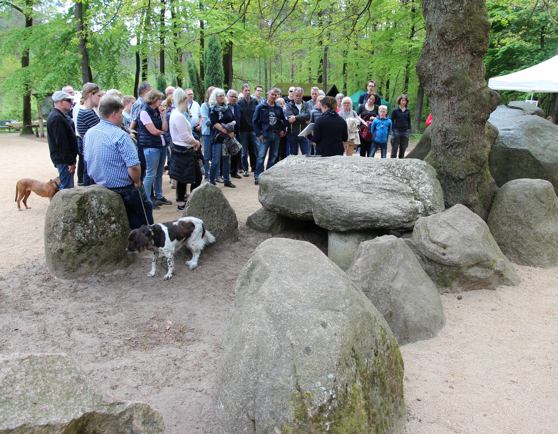 Expertenvortrag zum Großsteingrab (Foto: Altertumskommission/Klinke).