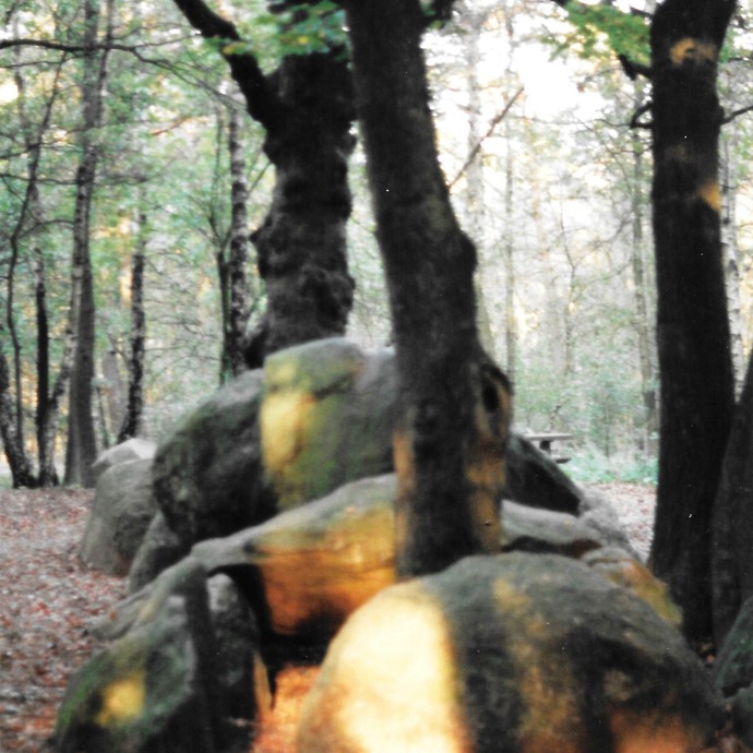 Fotografie der Düwelsteene, 1997. (vergrößerte Bildansicht wird geöffnet)