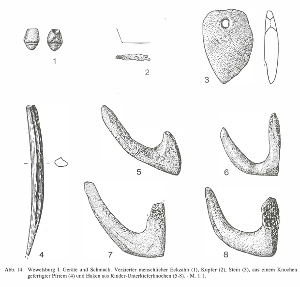 Abb. 14 Haken aus Rinder-Unterkieferknochen aus Wewelsburg I (5-8), (Abbildung: Günther/Viets 1992, 118). Abb. 14 Haken aus Rinder-Unterkieferknochen aus Wewelsburg I (5-8), (Abbildung: Günther/Viets 1992, 118).