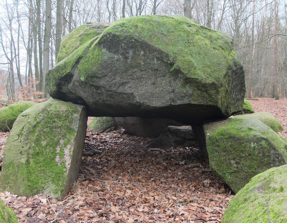 Blick in die Grabkammer 2014 (Foto: Altertumskommission/V. Brieske).