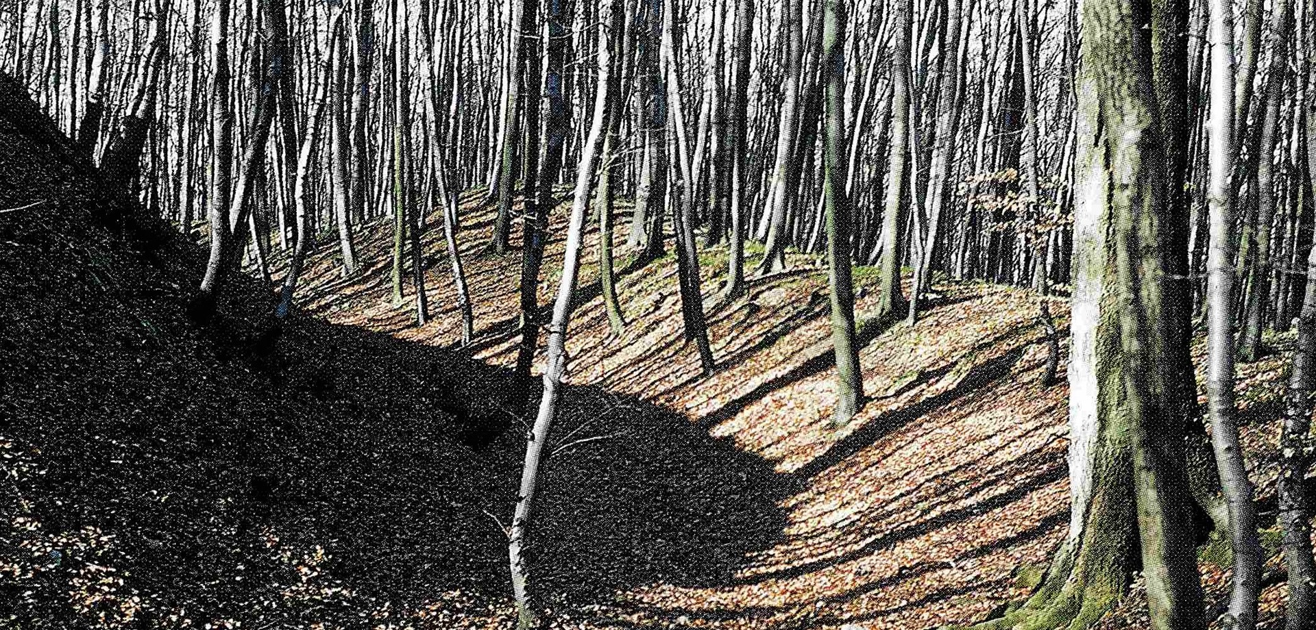 Nördlicher Wall der Babilonie (Bérenger 1997, Titelbild).