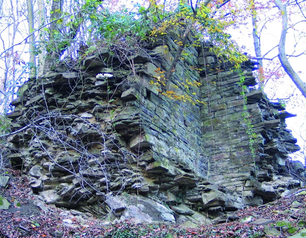 Trümmer der Ringmauer (Foto: S. Leenen).