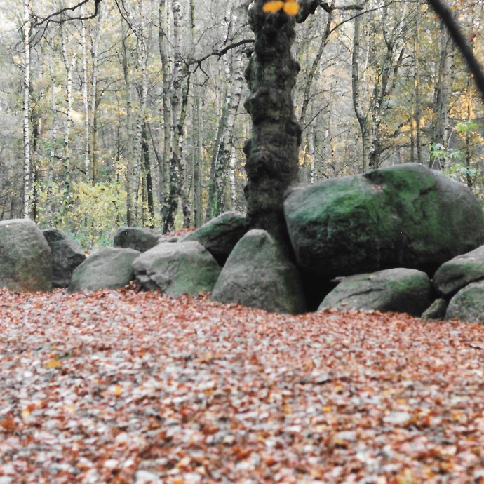 Fotografie der Düwelsteene, 1994. (vergrößerte Bildansicht wird geöffnet)