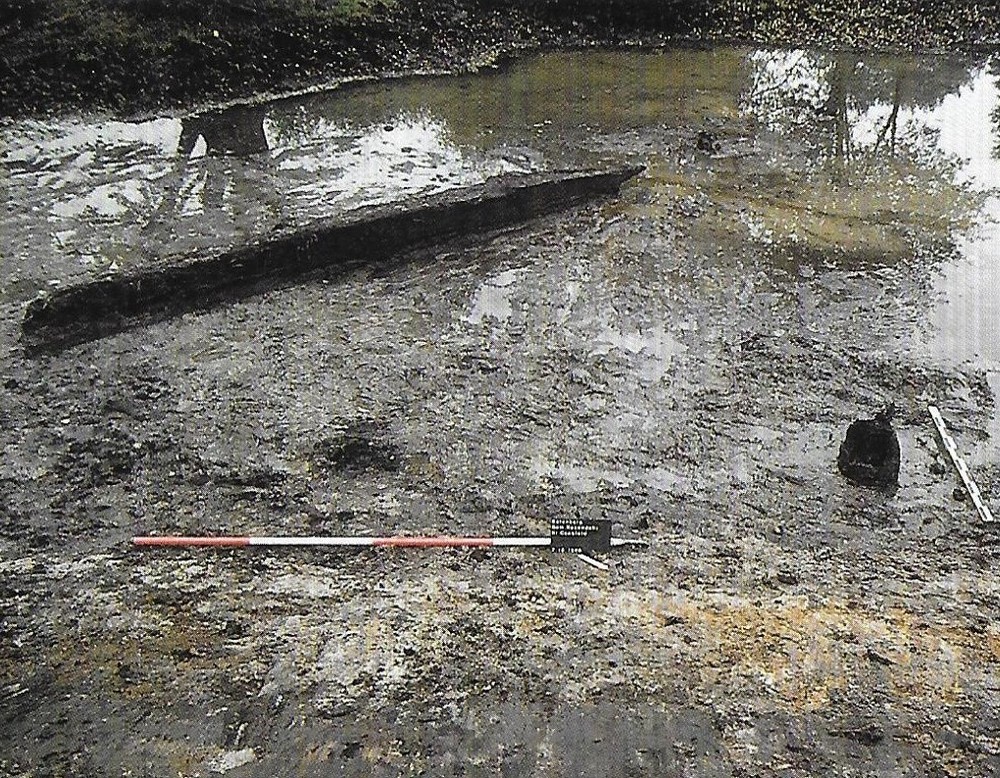 Holzpfahl in der Gräfte der Barenborg (WMfA, Außenstelle Münster).