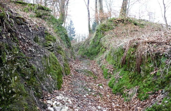 Der Hohlweg Horn (Foto: Altertumskommission/Steinkrüger).