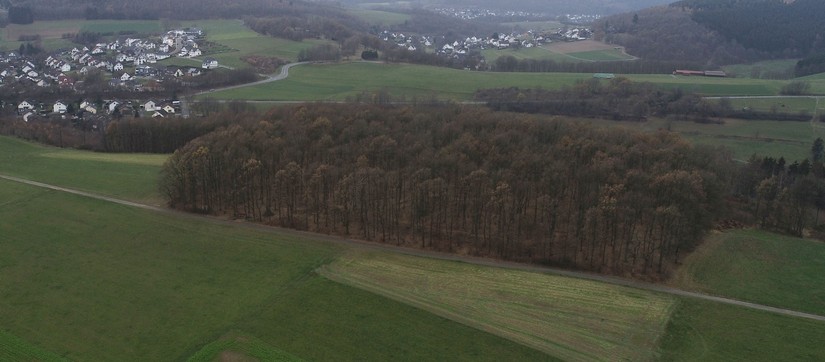 Luftbild des Burggrabens von Osten aus (LWL-AfW/Müller-Delvart).