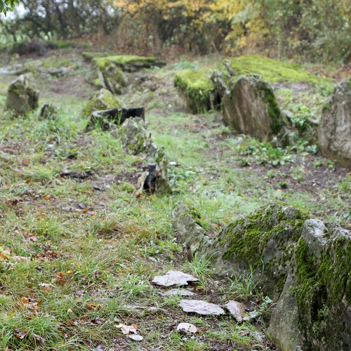 Das Megalithgrab von Borchen-Etteln (Foto: Altertumskommission/Kopner).