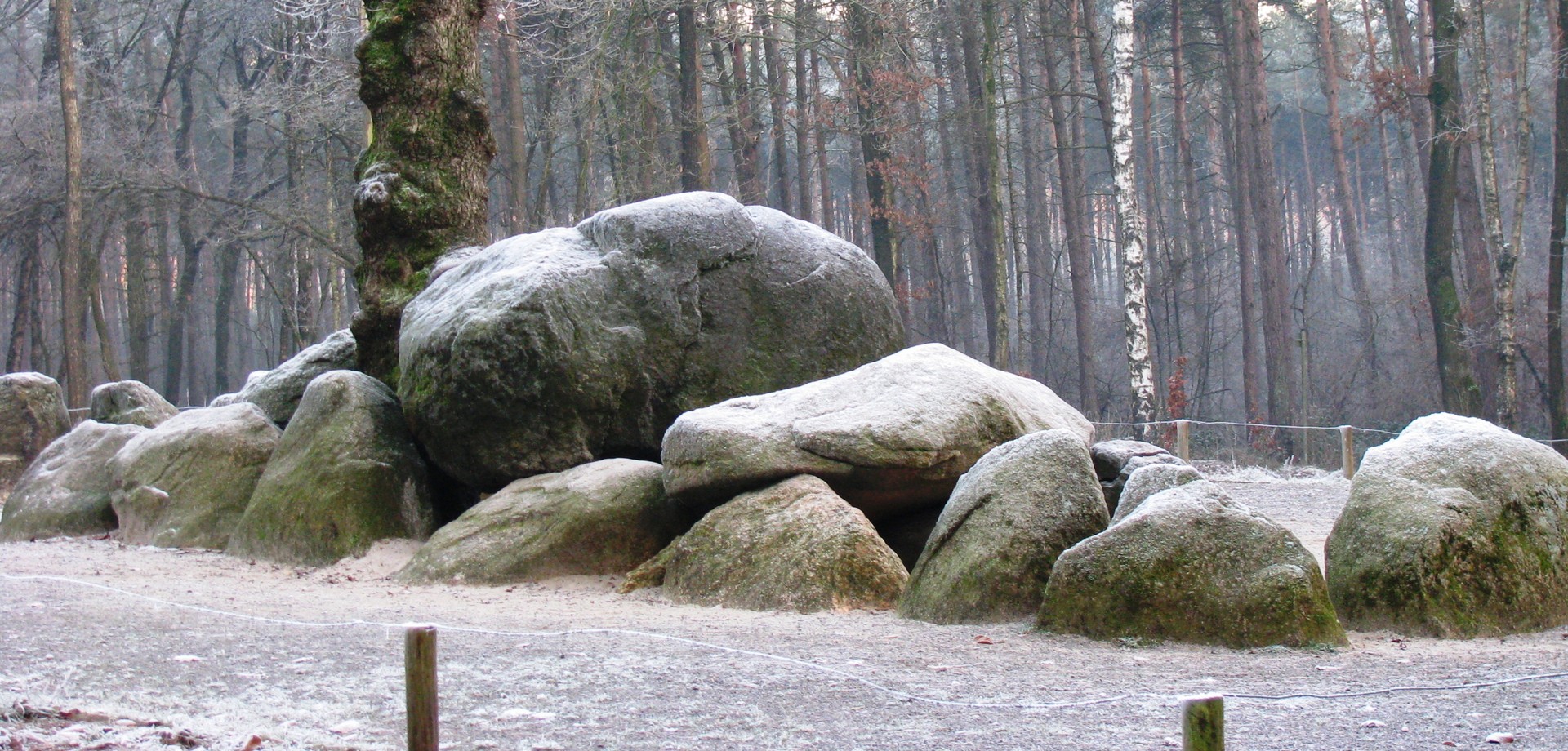 Die Düwelsteene 2007 (Foto: Lütkebohmert).