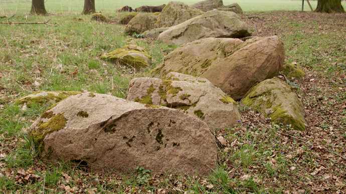 Großsteingrab Beckum-Dalmer II (Altertumskommission/Schierhold).