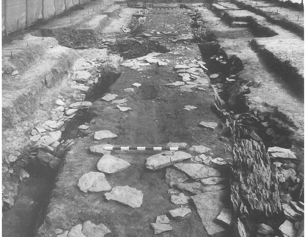 Wewelsburg I. Überblick von SW über die Reste des Galeriegrabes auf Niveau der Kammersohle (Foto: Günther/Viets 1992, 105).
