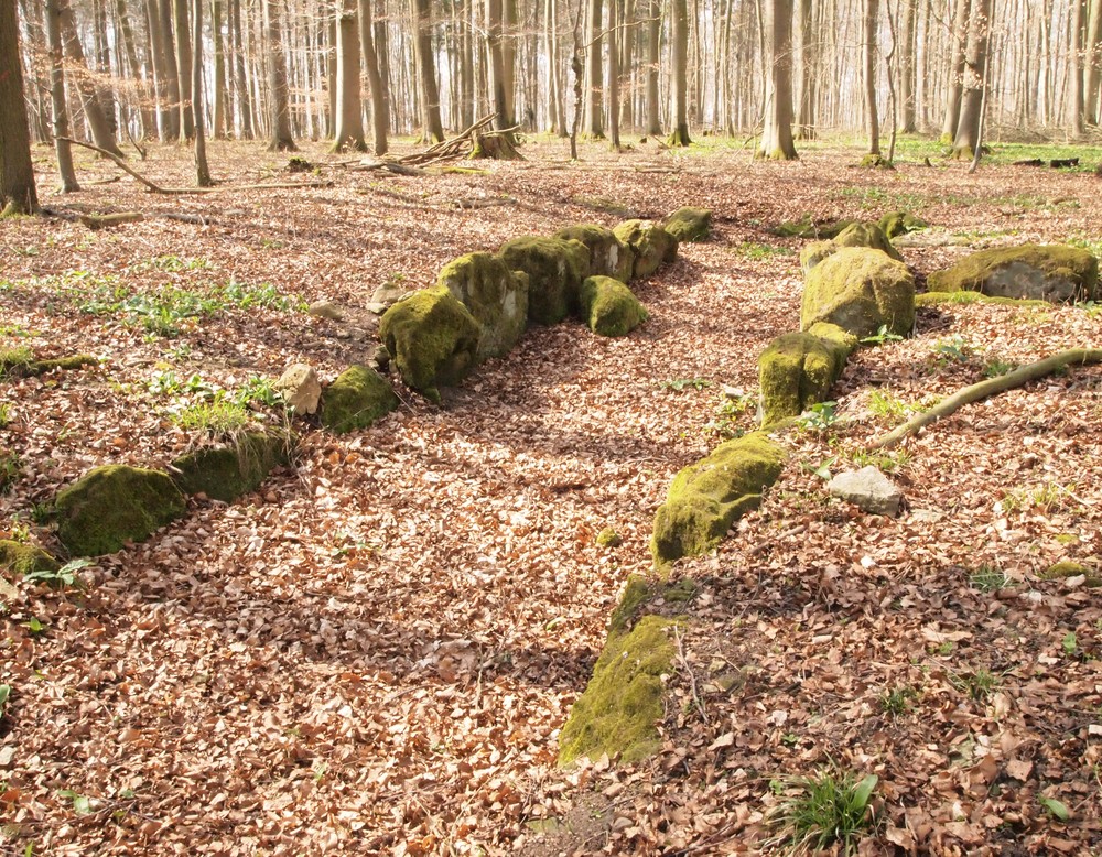 Das Grab im Herbst 2015 (Foto: Altertumskommission/Schierhold).