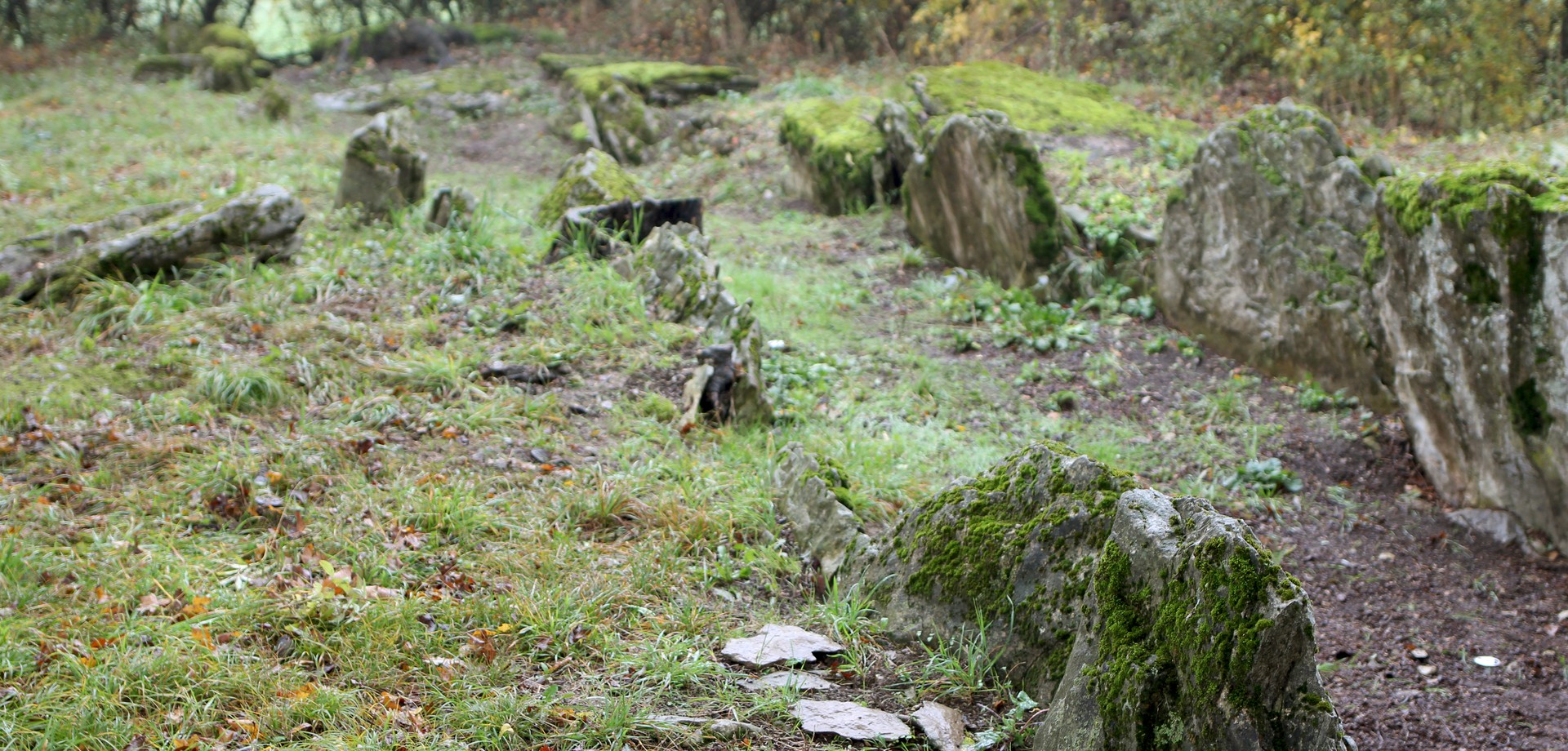Das Megalithgrab von Borchen-Etteln (Foto: Altertumskommission/L. Kopner).