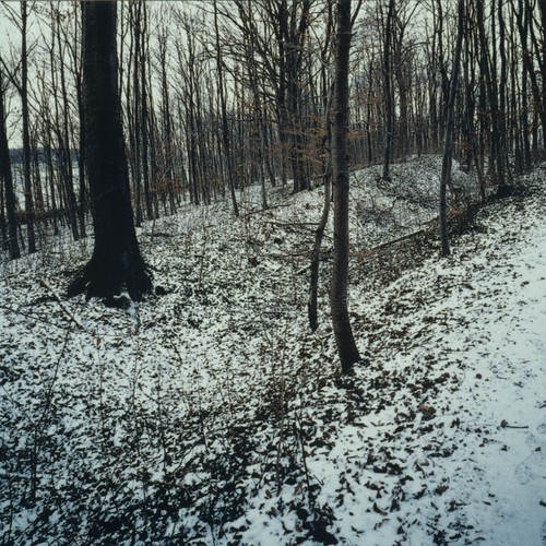 Die Landwehr südlich von Beckum (Foto: R. Pieper).