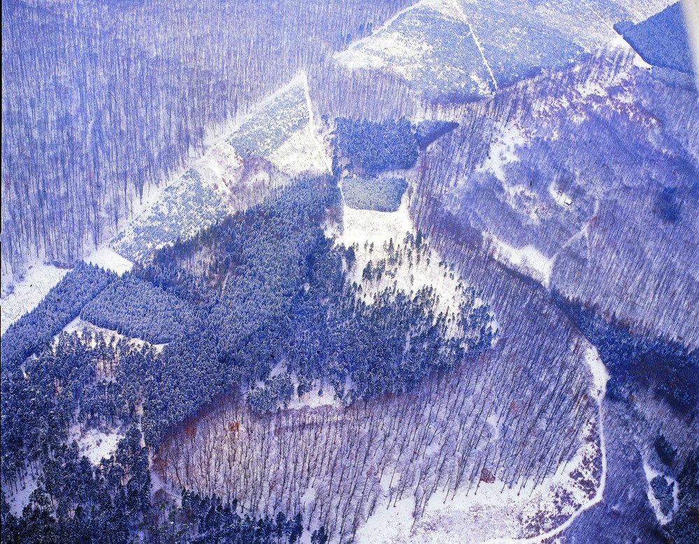Luftbildaufnahme des Gaulskopf von Nordosten (Altertumskommission für Westfalen/Archiv).