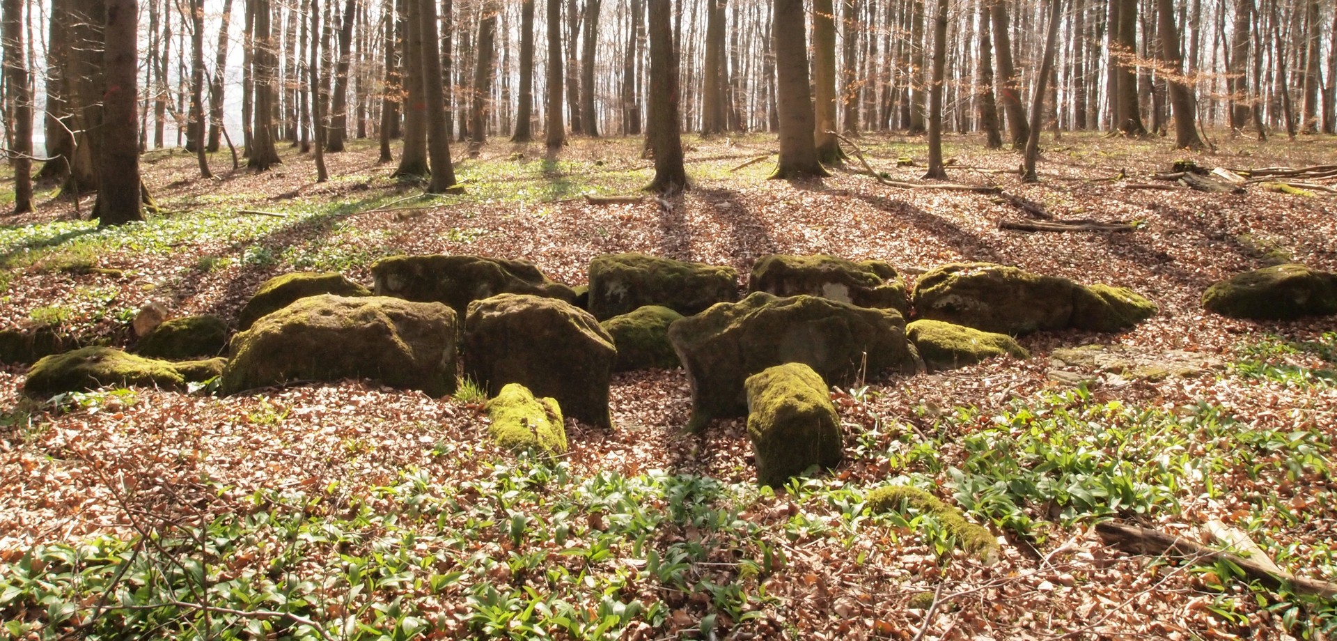 Großsteingrab Rimbeck bei Warburg (Foto: Altertumskommission/Klinke).