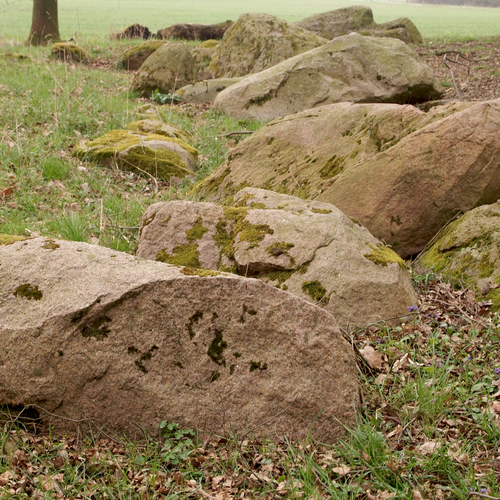 Das Großsteingrab von Beckum-Dalmer II im Jahr 2015 (Foto: Altertumskommission/Schierhold).