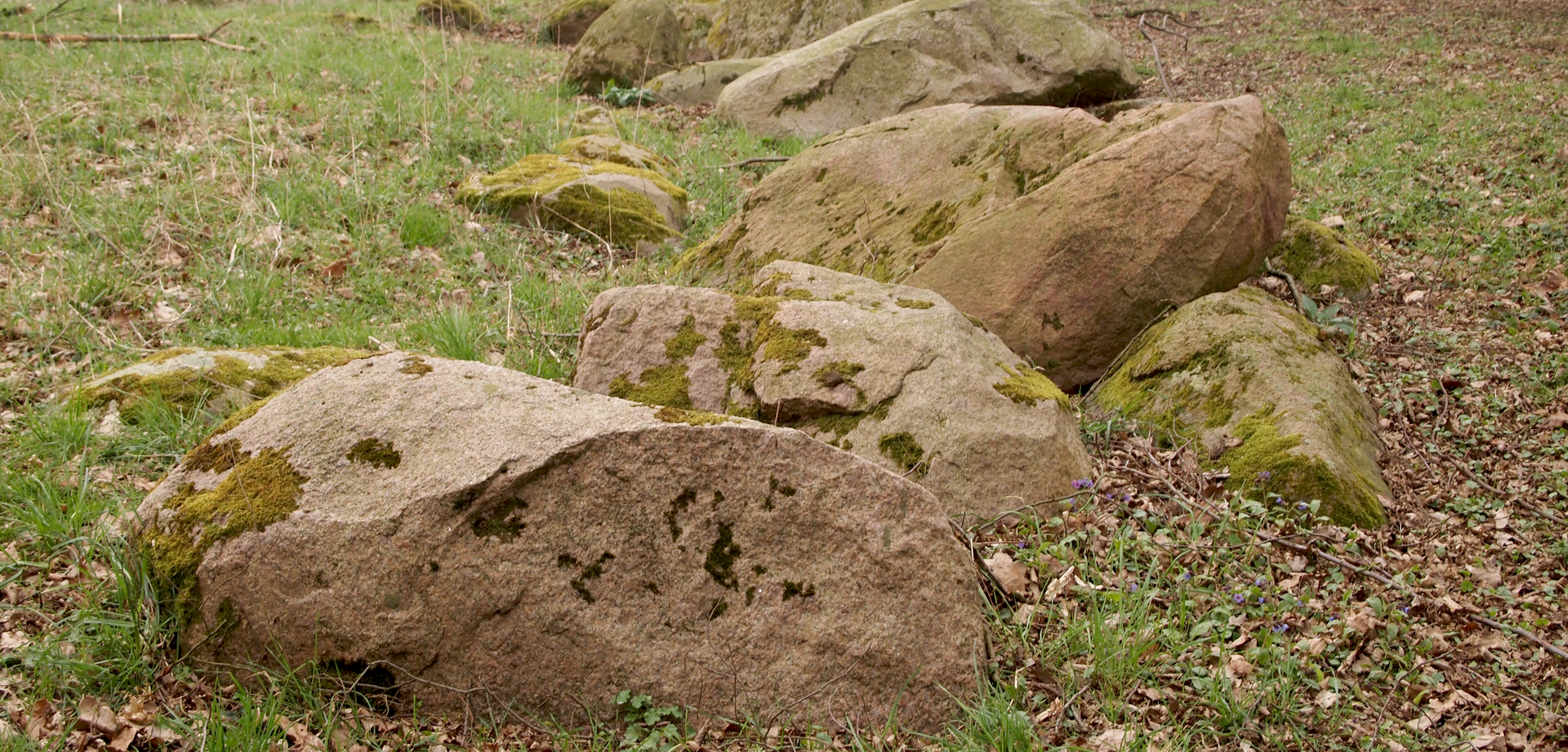 Megalithgrab Beckum-Dalmer II (Altertumskommission/Schierhold).