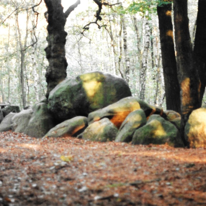 Fotografie der Düwelsteene, 1997. (vergrößerte Bildansicht wird geöffnet)