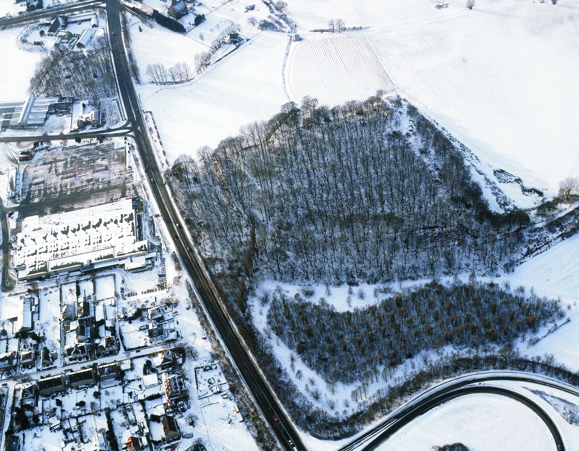Luftbild der Bumannsburg von 1996 (LWL/Kühlborn).
