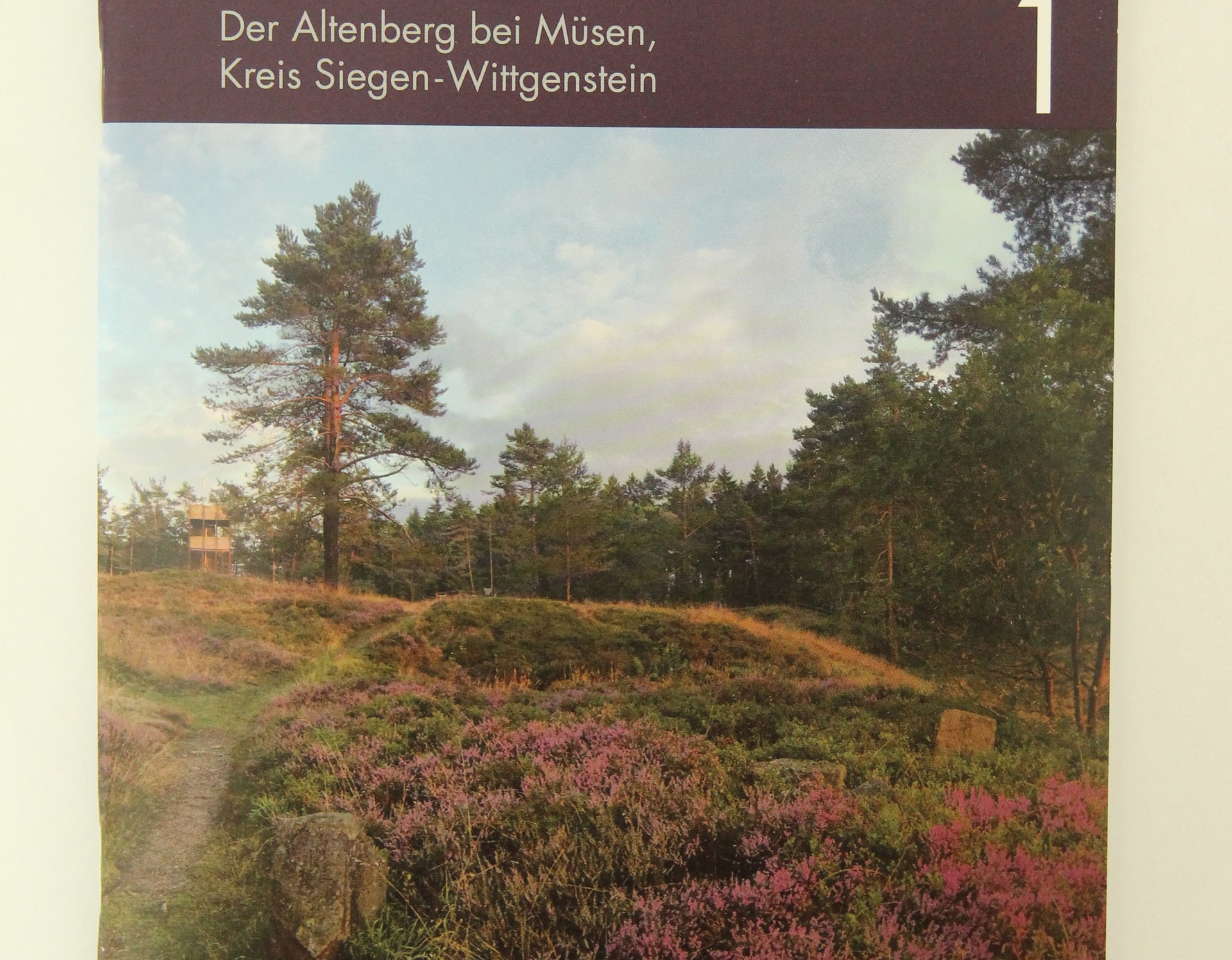 Ausgewählte Bände der Reihe "Montanarchäologie in Westfalen" (Altertumskommission/Priß).