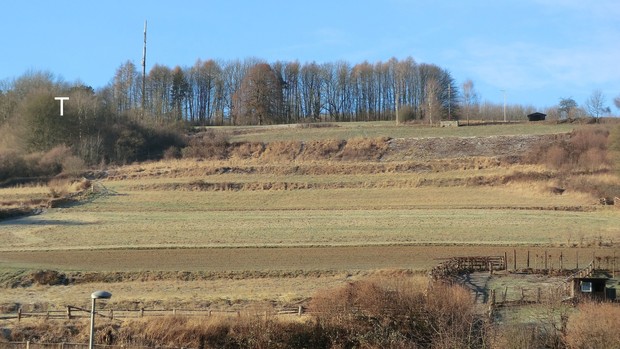 Der Osterberg von Osten mit vorgelagerten Landwehrterrassen. T = Standort des Wartturms (Gerking).