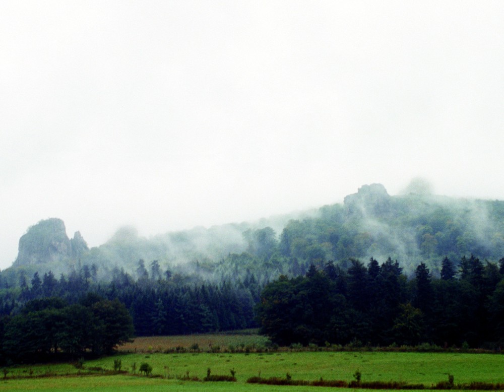 Bruchhauser Steine im Nebel (LWL-Archäologie für Westfalen/Menne).