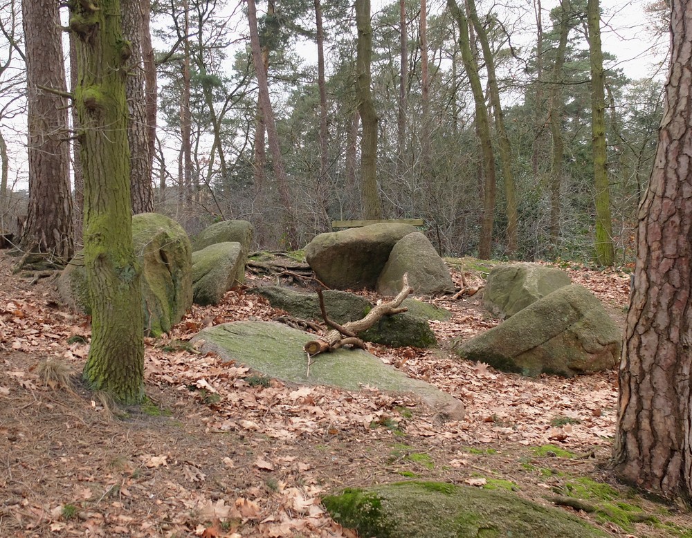 Die kleinen Sloopsteene im Winter 2018 (Foto: Altertumskommission).