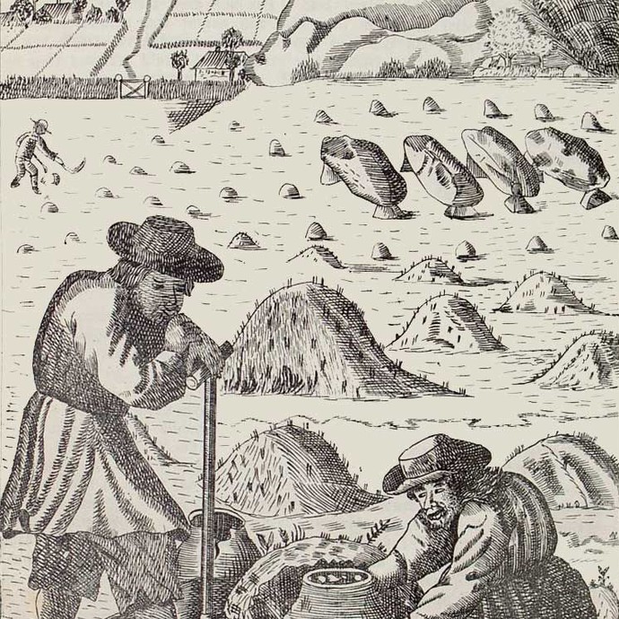 H. J. Nünning, Sepulcretum Westphalico-Mimigardico gentile (1713). (vergrößerte Bildansicht wird geöffnet)