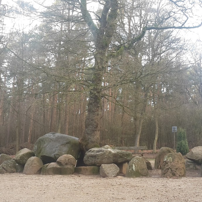 Fotografie der Düwelsteene, 2019. (vergrößerte Bildansicht wird geöffnet)