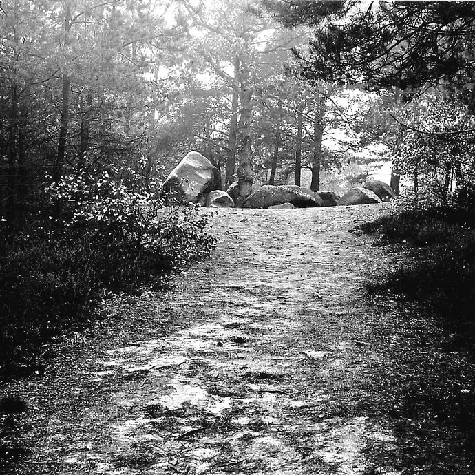Fotografie der Düwelsteene, um 1920. (vergrößerte Bildansicht wird geöffnet)