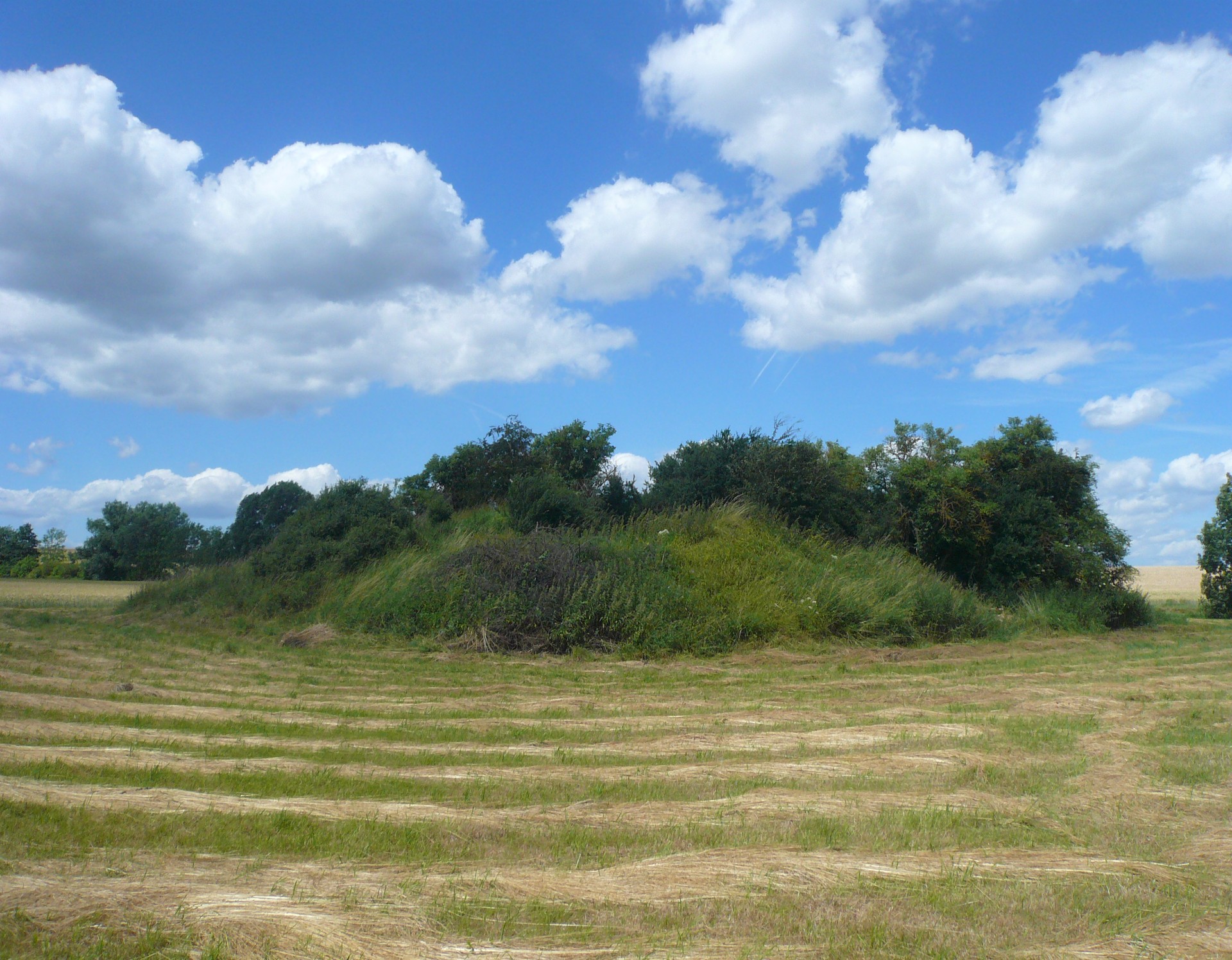 Die Holsterburg vor Grabungsbeginn (Foto: LWL-Archäologie für Westfalen/H.-W. Peine).