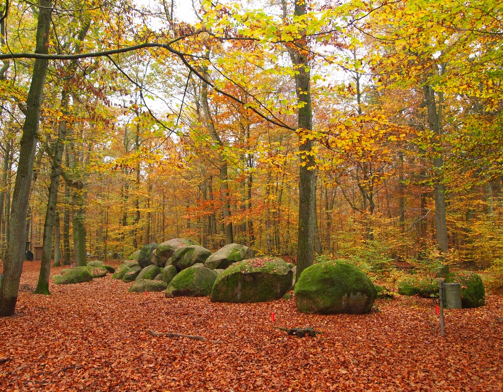 Das Grab im Herbst 2014 von NW (Foto: Altertumskommission/K. Schierhold).