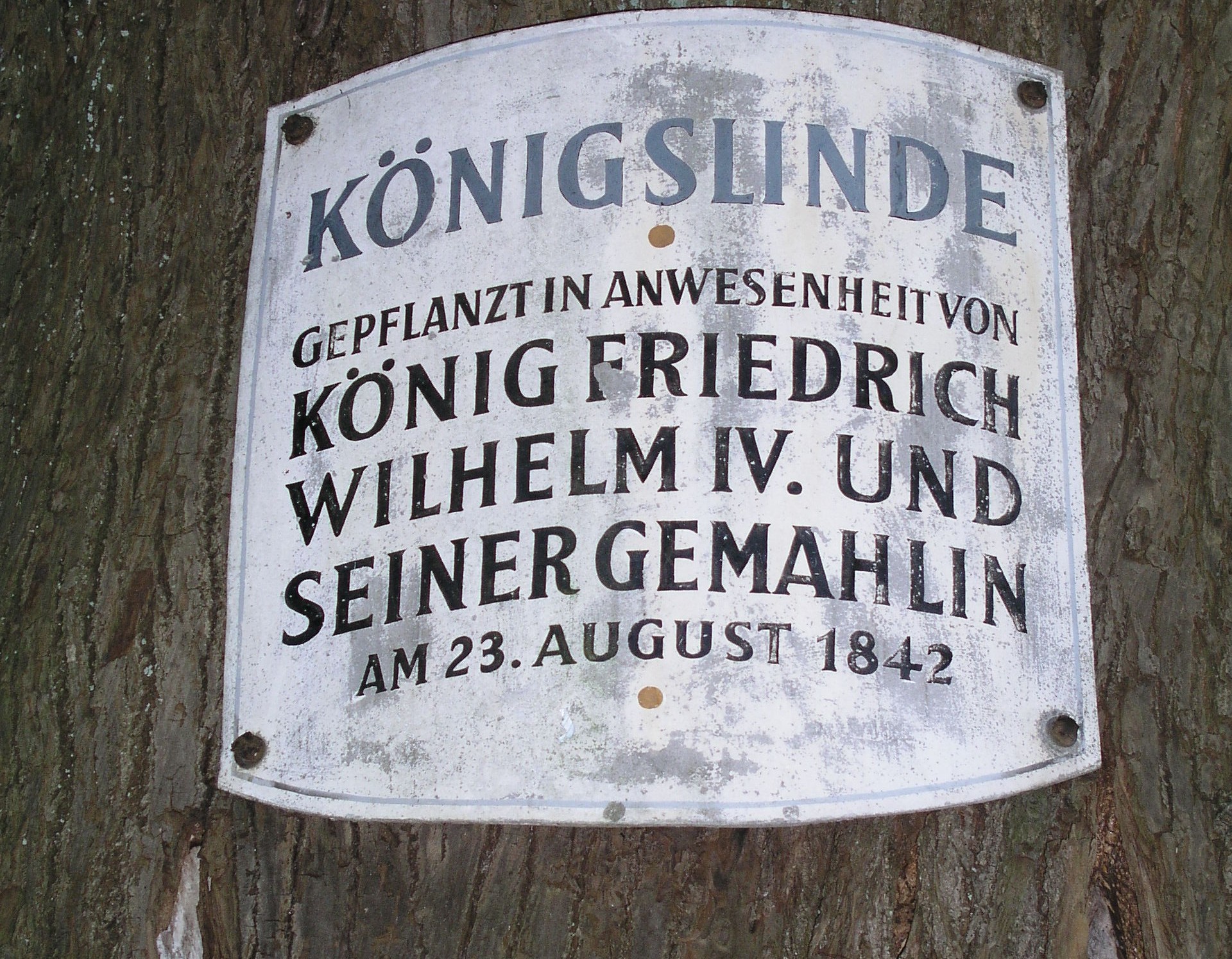 Plakette an der "Königslinde" auf der Wittekindsburg (Altertumskommission für Westfalen/Archiv).