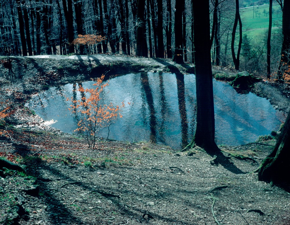 Blick von Nordosten auf den Teich (Foto: E. Schubert).
