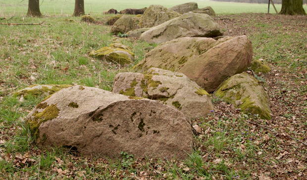 Das Großsteingrab von Beckum-Dalmer II 2015 (Foto: Altertumskommission/Schierhold).